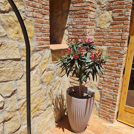 Casa Rural Del Pantano 4 Estrellas Buenache de Alarcon Zewnętrze zdjęcie