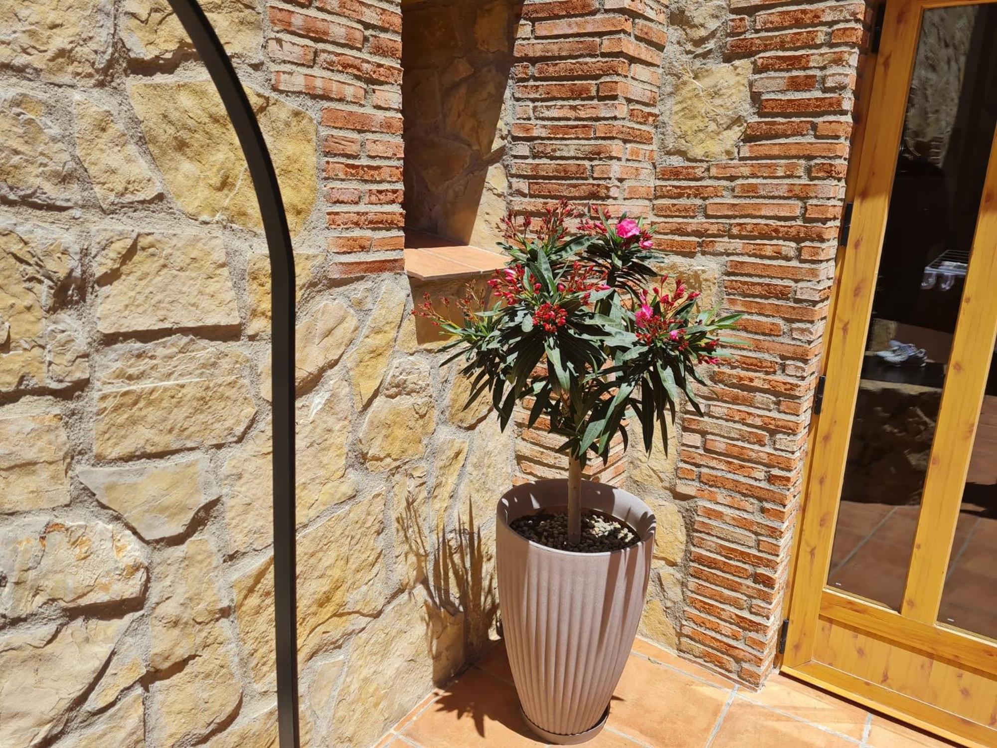 Casa Rural Del Pantano 4 Estrellas Buenache de Alarcon Zewnętrze zdjęcie